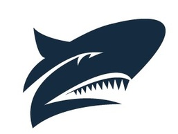 Megalodon